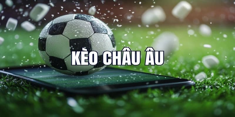 Lời khuyên từ chuyên gia